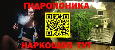 молекула духа Славгород