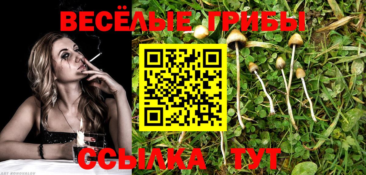 Орск  Псилоцибиновые грибы мицелий  Вход с VPN 